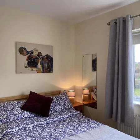 Cottage 428 - Clifden